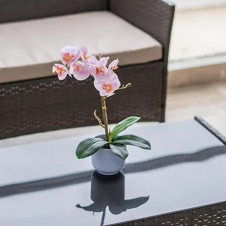 545 Apartamento Cartagena